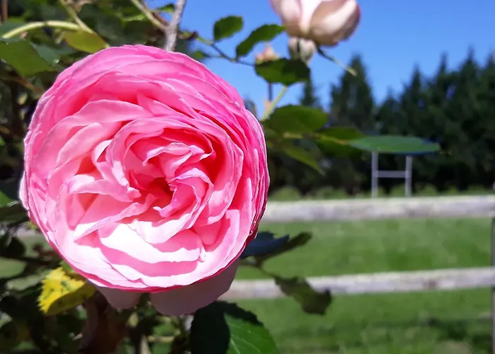Hébergement de vacances Roulotte Fleur Des Champs